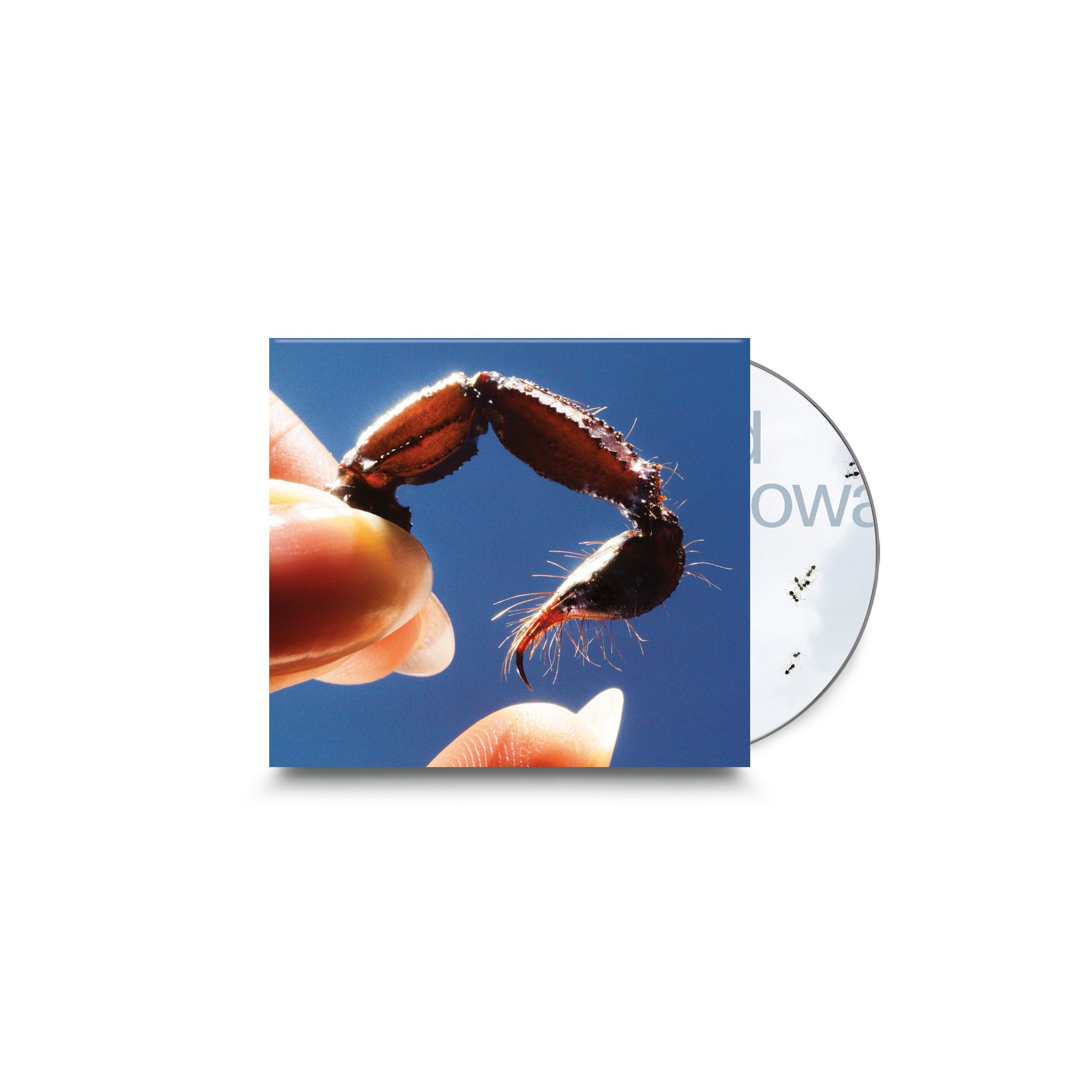 Cowards. CD