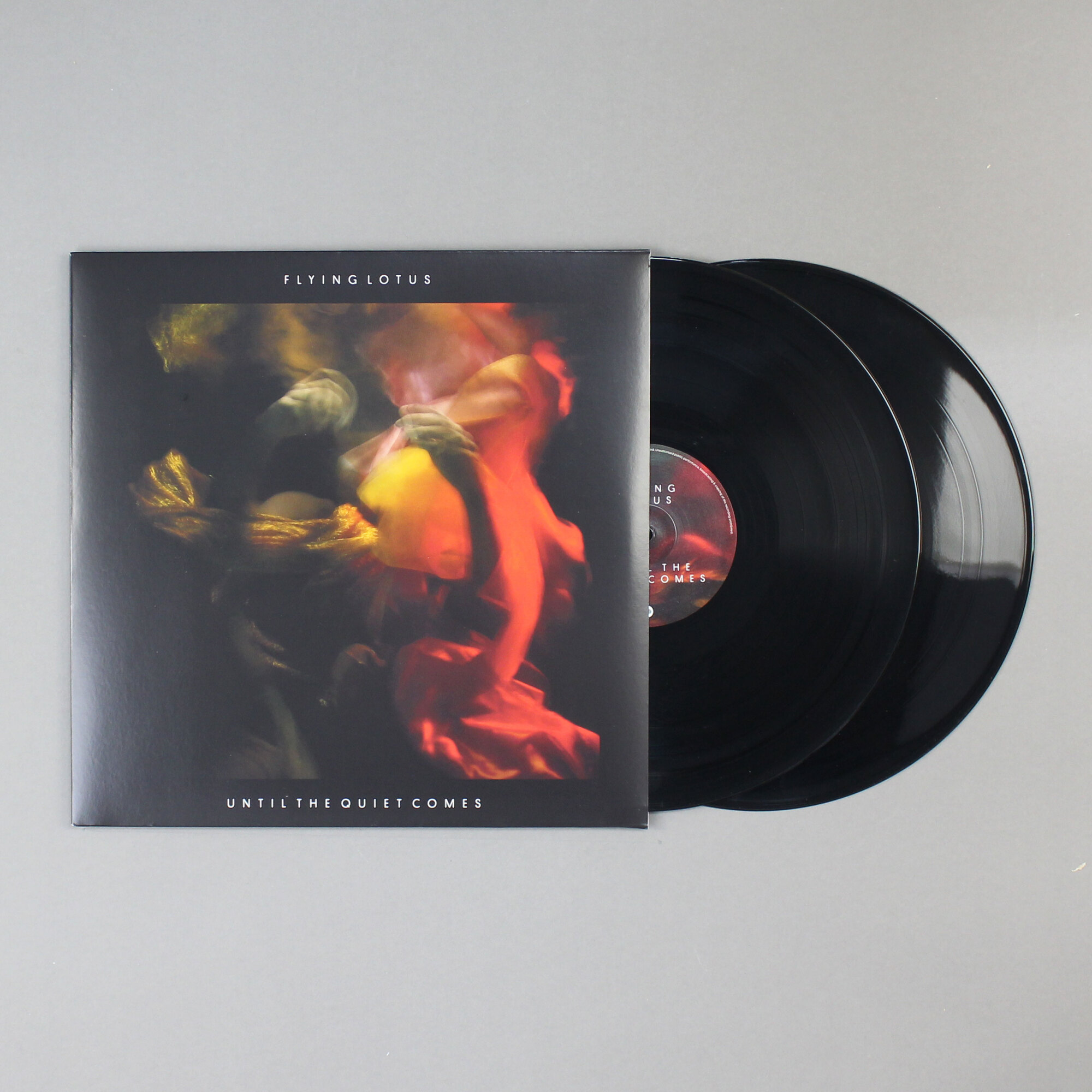 Until The Quiet Comes