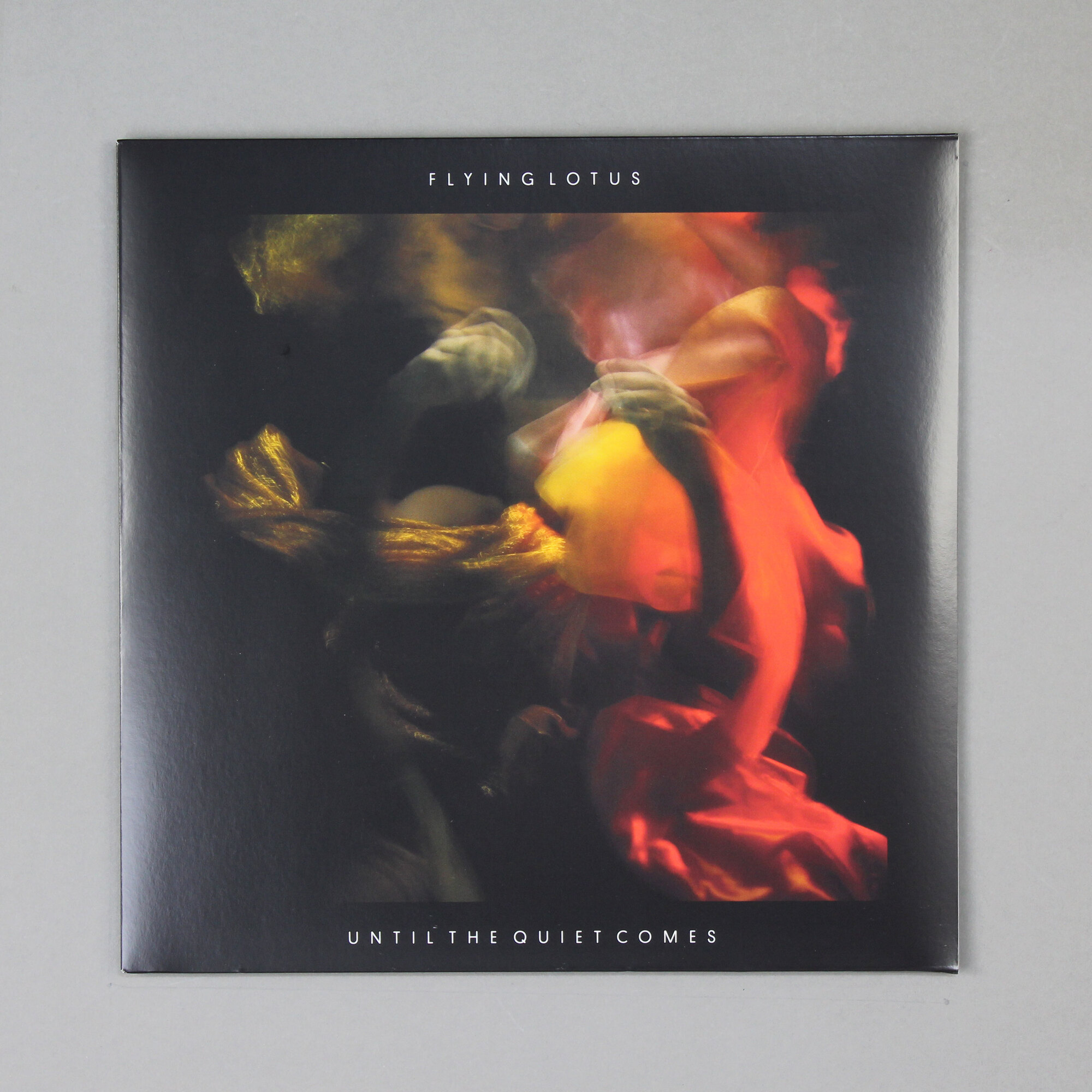 Until The Quiet Comes