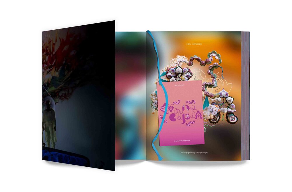 ミュージシャン 3/31 Bjork cornucopia LITHOGRAPH ミュージシャン 3/31 Bjork cornucopia LITHOGRAPH Cornucopia