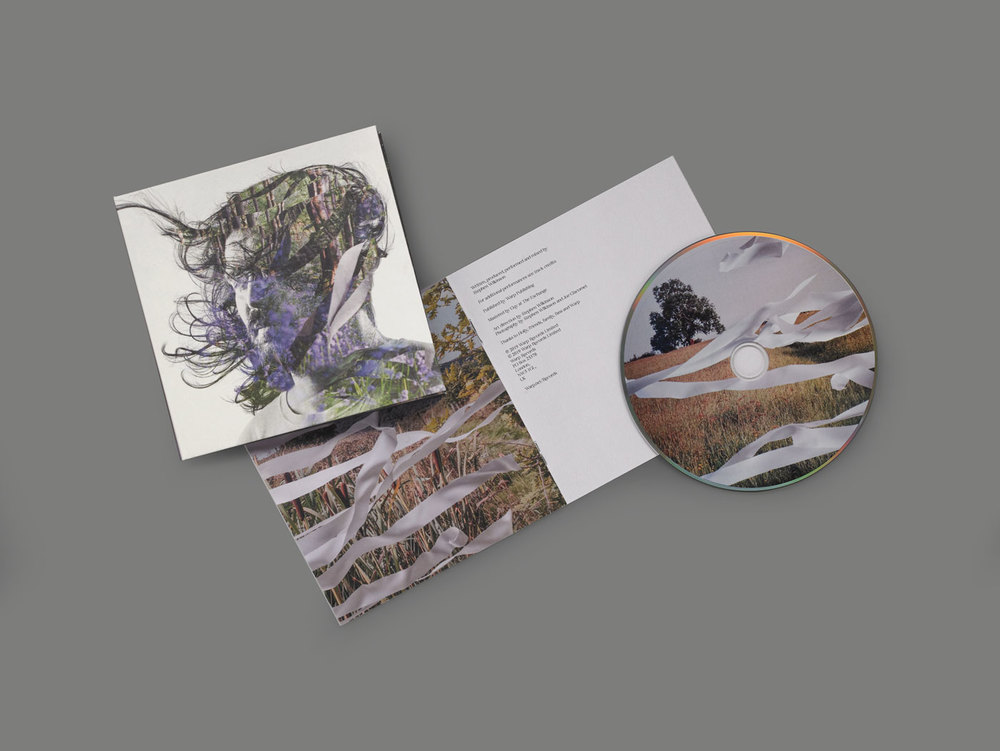 Ribbons by Bibio Releases WARP