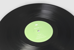 Ginger by Speedy J - Releases - WARP