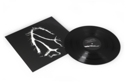 Seefeel - Everything Squared. Seefeel.