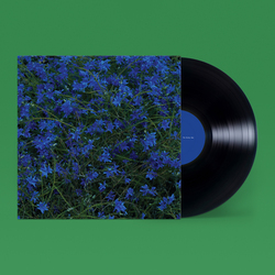 Jefre Cantu-Ledesma - Gift Songs. Mexican Summer & Anthology.
