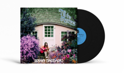 BRIAN D'ADDARIO 「 TILL THE MORNING 」LP Brian D'Addario - Till the Morning. Vinyl. The Lemon Twigs.
