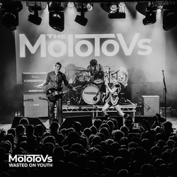 The Molotovs Wasted On Youth LP限定ジャケ The Molotovs – Wasted On Youth – Vinyl (Zoetrope, LP, Album + 3