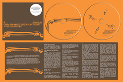 Stereolab - Cobra And Phases Group Play Voltage In The Milky Night