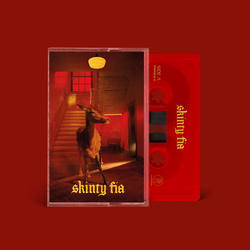 Fontaines D.C. - Skinty Fia. Cassette - Cassette. Partisan Records