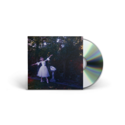 Wolf Alice - Visions Of A Life. CD. Dirty Hit.