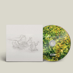 Big Thief - Dragon New Warm Mountain I Believe In You. 4AD.