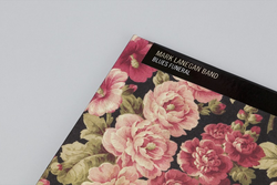Mark Lanegan Band - Blues Funeral. 4AD.
