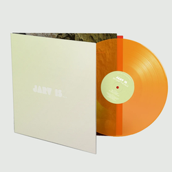 欧LP JARV IS... Beyond The Pale RT0129LPE2 Rough Trade /00400 JARV IS - Beyond the Pale. Rough Trade.
