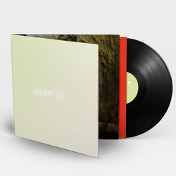 欧LP JARV IS... Beyond The Pale RT0129LPE2 Rough Trade /00400 JARV IS - Beyond the Pale. Rough Trade.