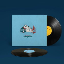 Pinegrove - Amperland, NY. Vinyl, 2×LP, Limited Edition