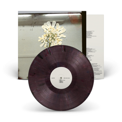 米LP Daughter Stereo Mind Game GLS034501 Glassnote /00260 Daughter - Stereo Mind Game - Amazon.com Music