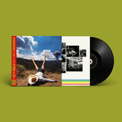 新品LP ギース　Geese 3D Country キャメロンウィンター Geese - 3D Country - Amazon.com Music