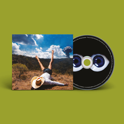 Geese - 3D Country. Partisan Records Store.