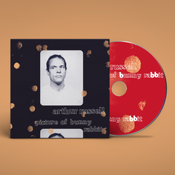 Arthur Russell - Picture of Bunny Rabbit. Vinyl, 1×LP. Rough