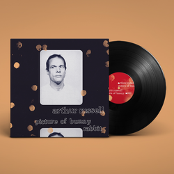 英LP Arthur Russell Picture Of Bunny Rabbit RT0425LP Rough Trade /00260 Arthur Russell - Picture of Bunny Rabbit. Rough Trade.