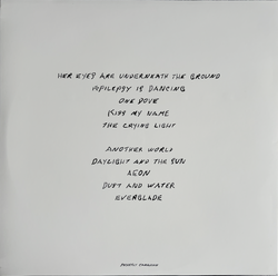 洋楽 Antony And The Johnsons The Crying Light Antony And The Johnsons – The Crying Light – Vinyl (180g, LP