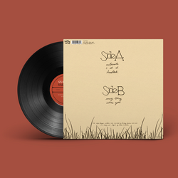 Snail Mail - Valentine (Demos). Matador.