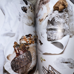 ANOHNI - ANOHNI: My Truth (ANOHNI, Peter Hujar, James Elaine
