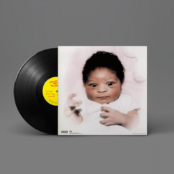 Butthole Surfers - Locust Abortion Technician (2024 Remaster