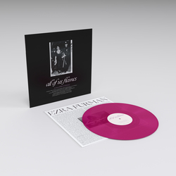 Ezra Furman - All Of Us Flames. Ezra Furman.