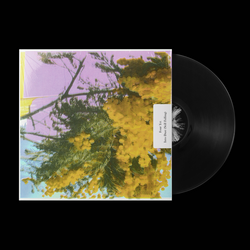 Four Tet – Into Dust（Still Falling）12” FOUR TET - Into Dust (Still Falling) - 12'' - Vinyl [SEP 5