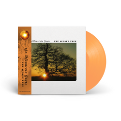 The Mountain Goats - The Sunset Tree (2025 Remaster). Vinyl, 1×LP