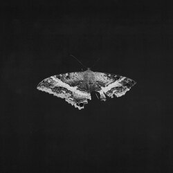 Kendrick Lamar - To Pimp A Butterfly - new vinyl