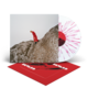 Reward. Vinyl - Raspberry Ripple Vinyl