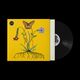 Like A Ribbon. Vinyl - 1×LP