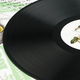 The Collapse Of Everything. Vinyl - 1×LP - Black Vinyl