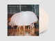 Paper Masks. Vinyl - 1×LP, Limited Coloured - Jellyfish coloured vinyl