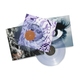 Short & Sweet (Expanded Edition). Vinyl - 2×LP, Coloured Vinyl - RSD 2026 Edition