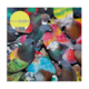SickElixir Limited Yellow LP