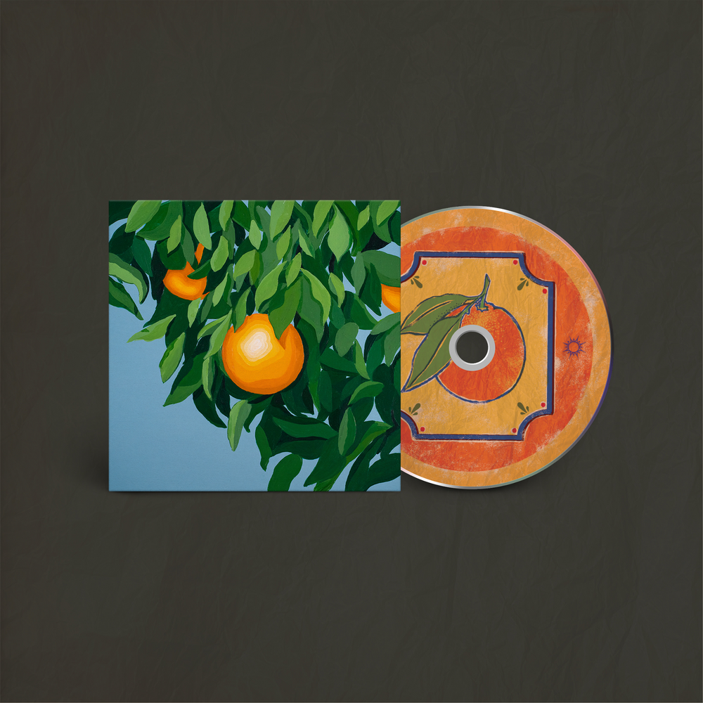 DOME 2 レコード ROUGH TRADE Various - Clear Cut [LP][Rough Trade] (USED) |