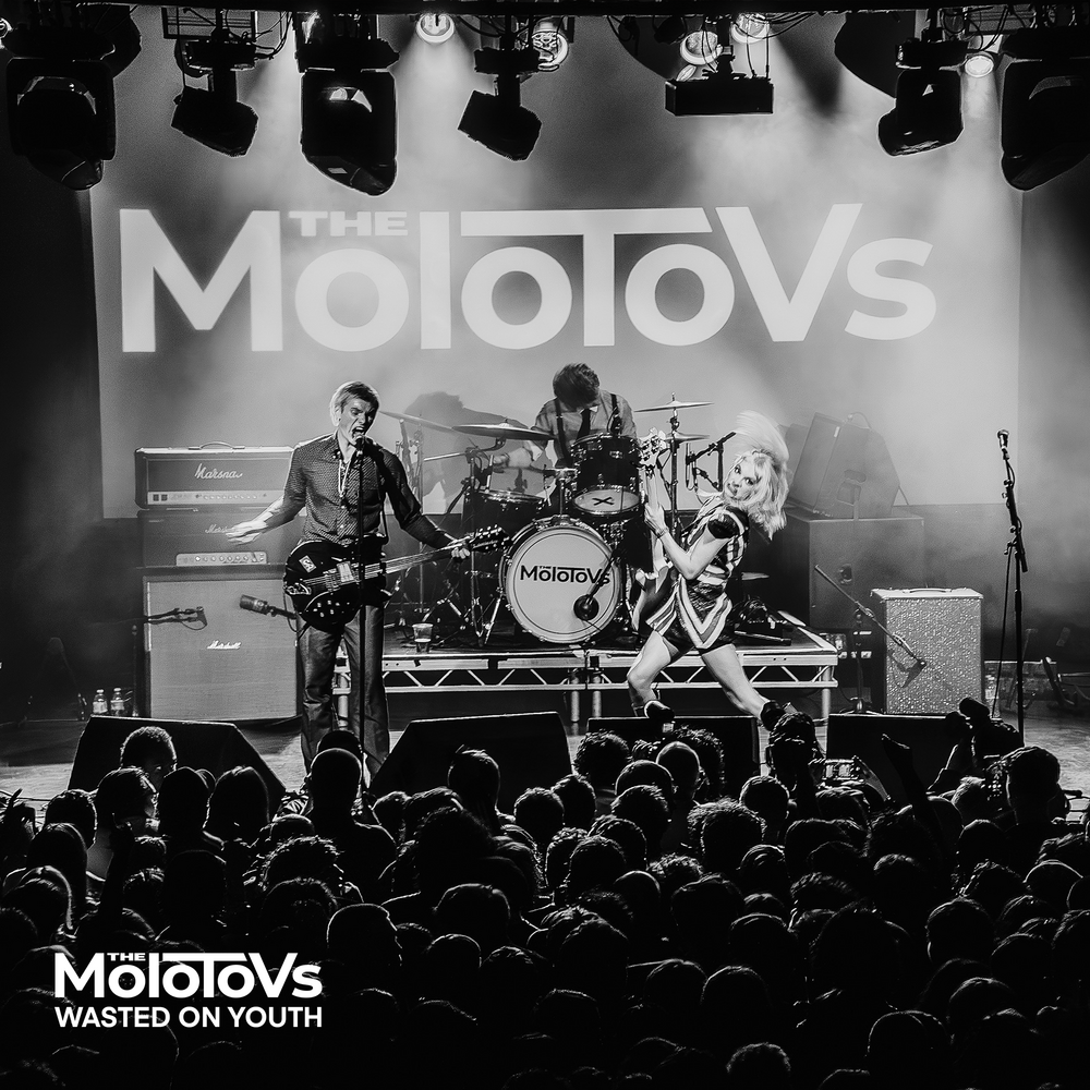 The Molotovs Wasted On Youth レコード　限定ジャケ The Molotovs - Wasted On Youth. WAV - Wasted On Youth - Deluxe