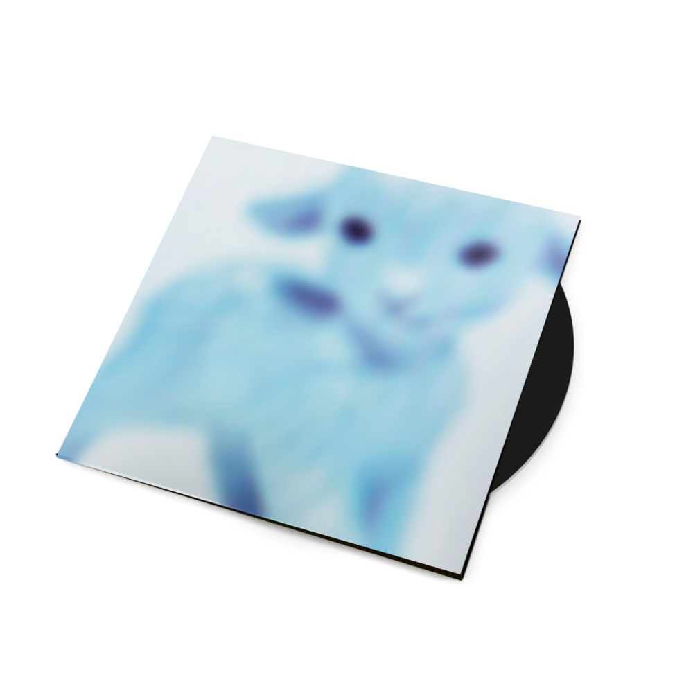 Vinyl - LUCKYME®