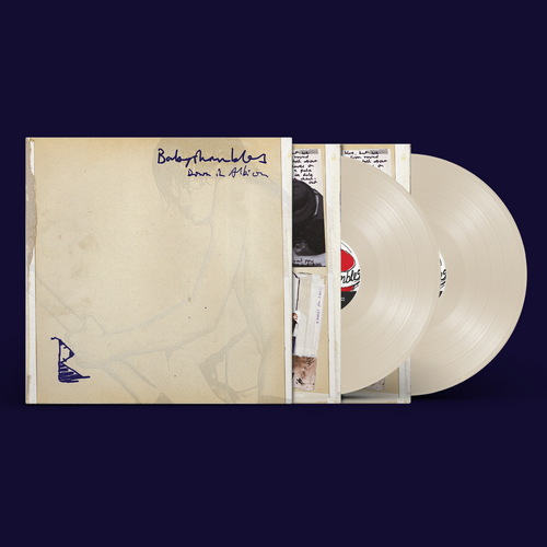 Babyshambles Down In Albion LPレコード Babyshambles - Down In Albion (20th Anniversary Edition). Vinyl, 2