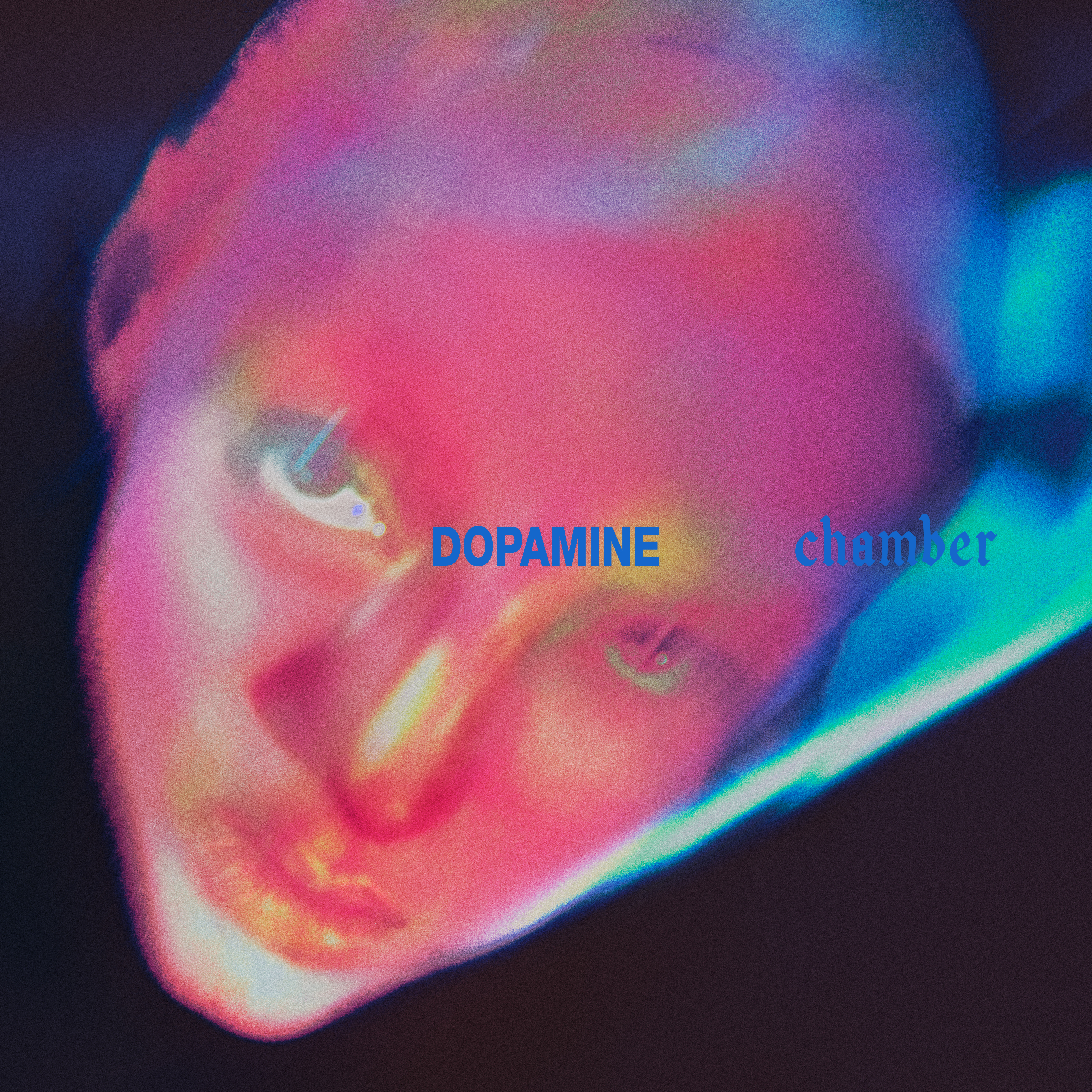 1cdf0ecb 8b8b 481d a2bf 9997abd41be2 Fontaines D.C. - "Dopamine Chamber"