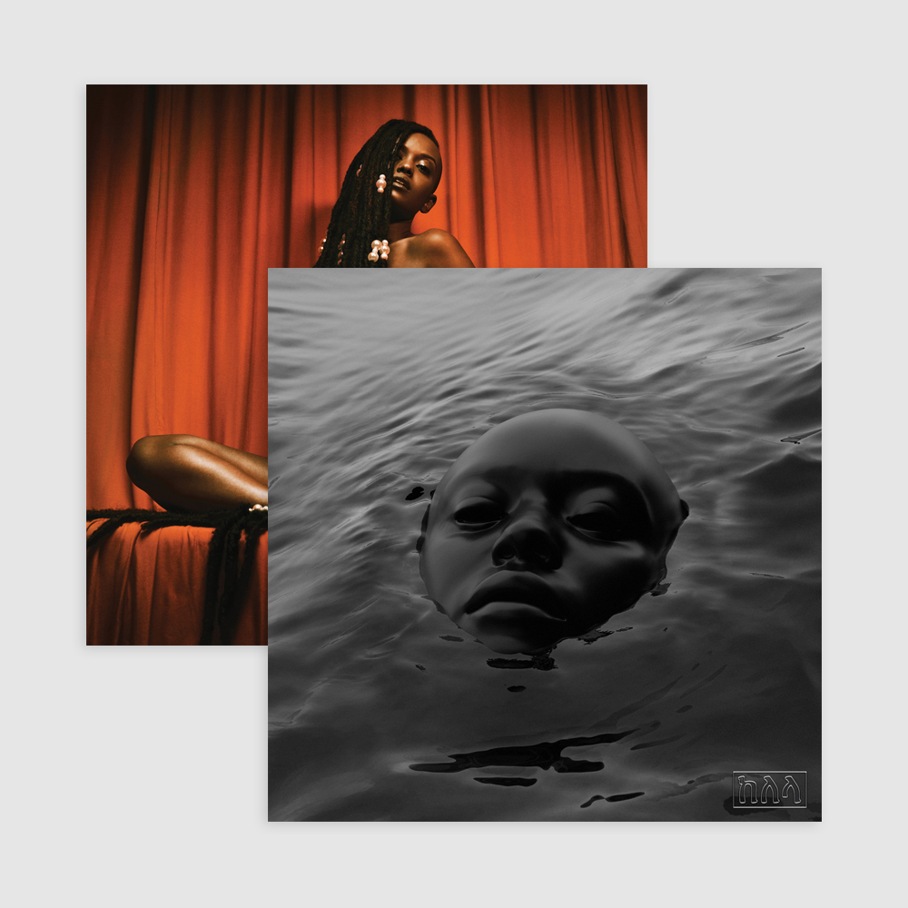 Raven + Take Me Apart Bundle