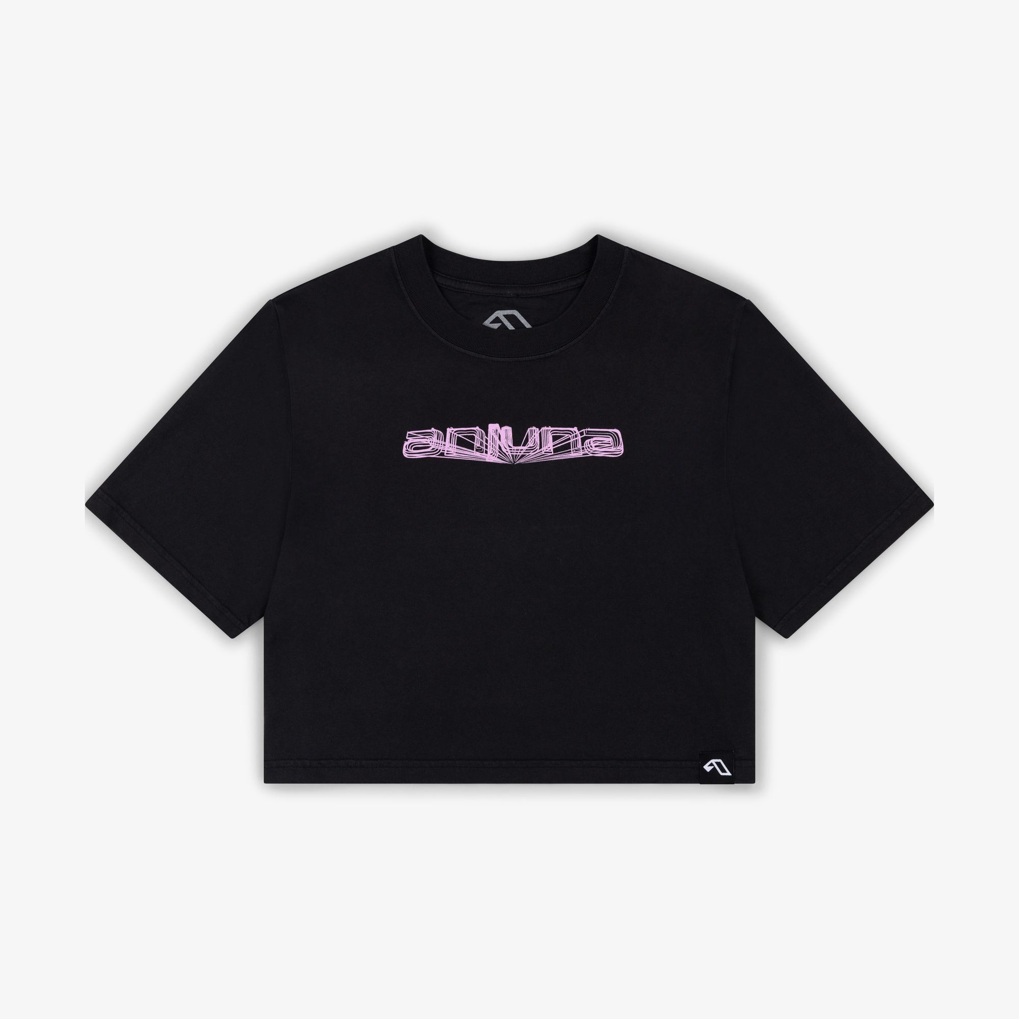 Anjuna Framework Crop Tee / Faded Black