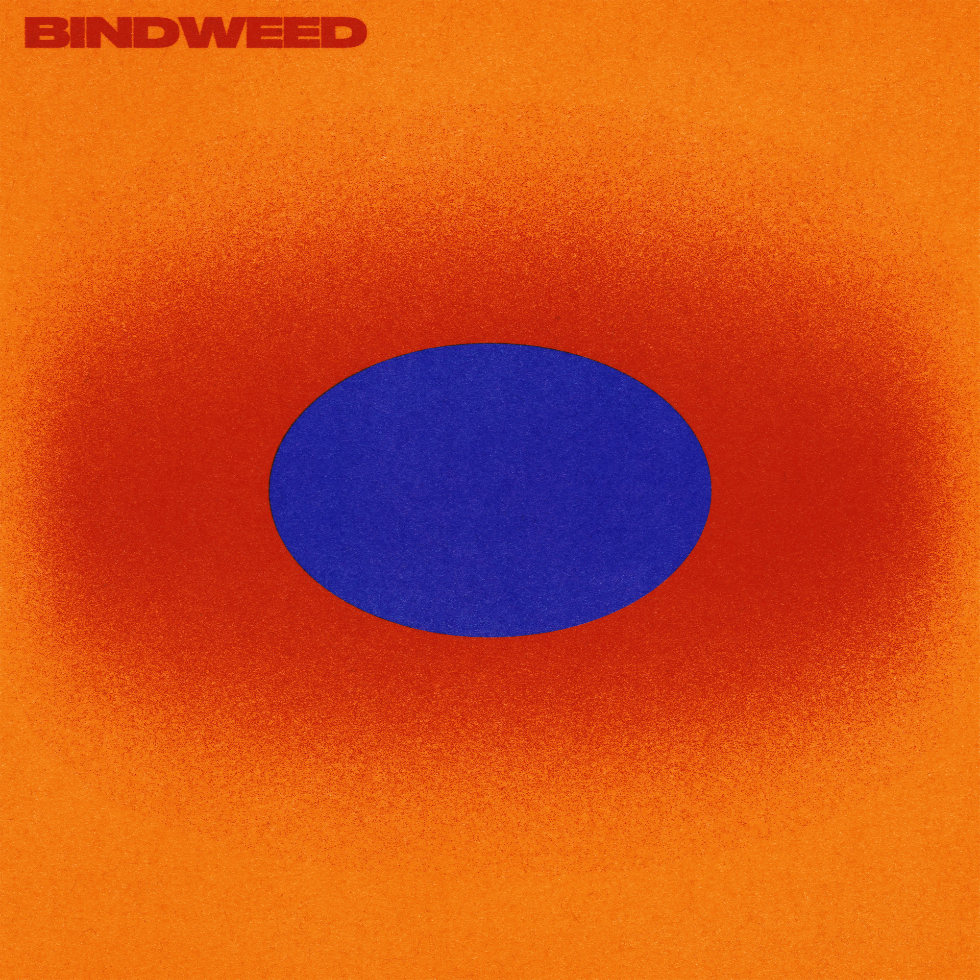 Bindweed