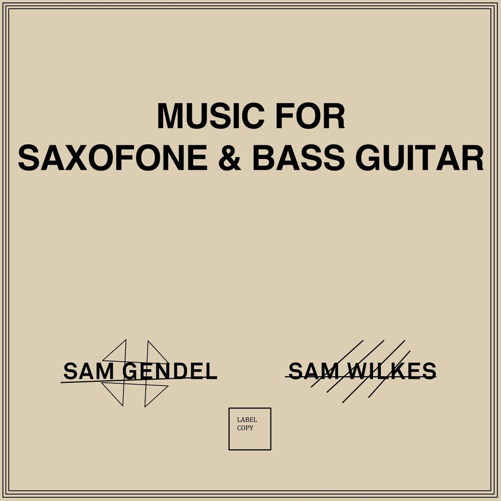 Sam Gendel, Sam Wilkes - Music for Saxofone & Bass Guitar. Bleep.
