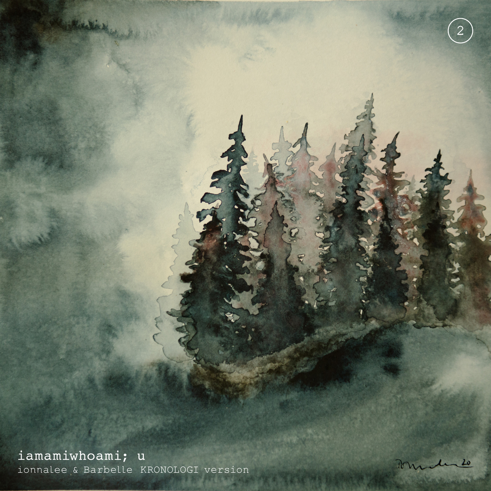 iamamiwhoami; u