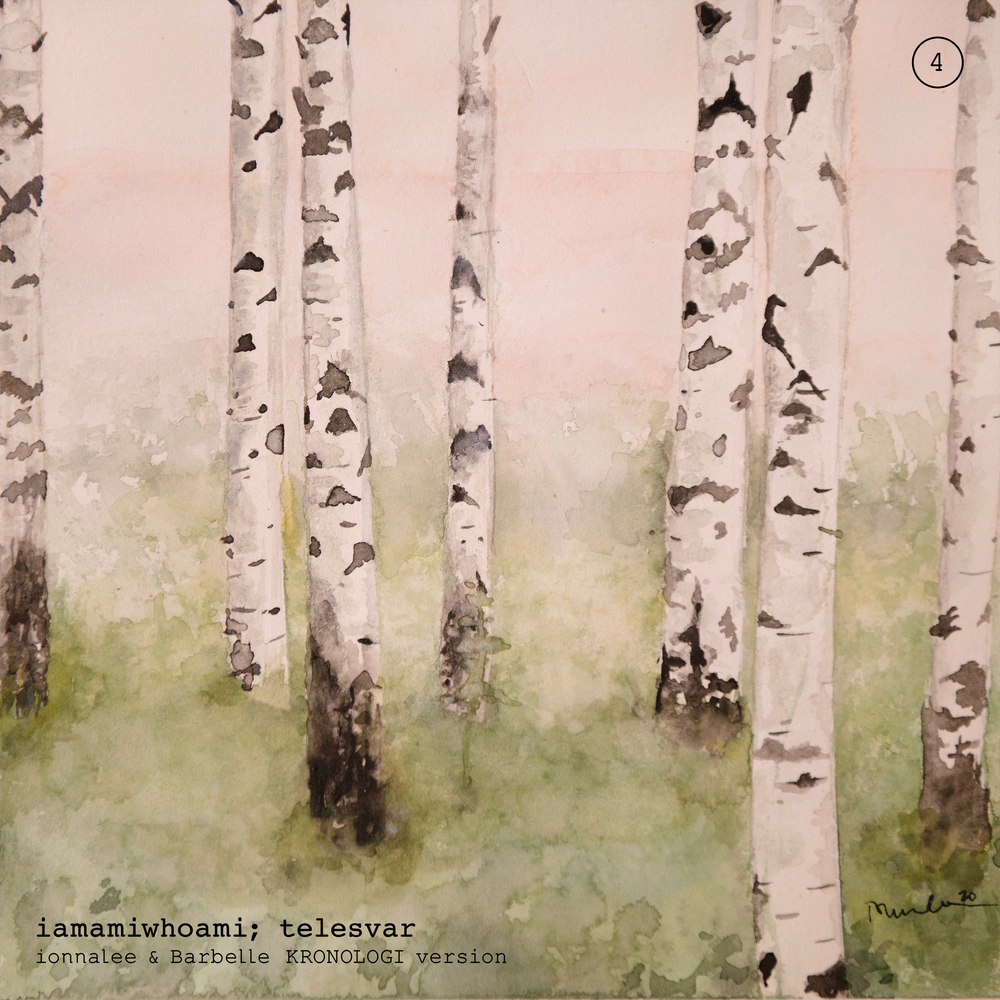 iamamiwhoami; telesvar