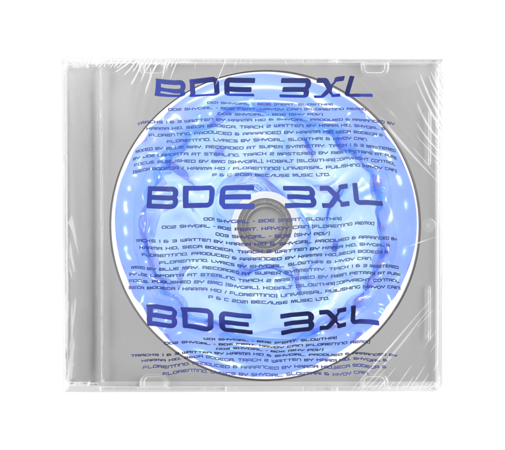 DEAR KISS 新品未開封 SHINY SHY GIRL Type-C CD Fruits Zipper - My most adorable feature [Chinzei Suzuka