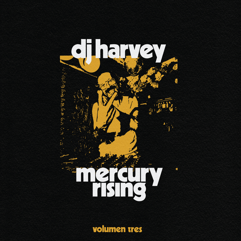 その他  GUERRERO - Archaic Days DJ HARVEY TOMMY GUERRERO / ARCHAIC DAYS (DJ HARVEY REMIX)